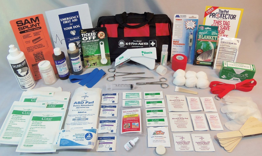 First Aid Kits at Dog Daycare and Boarding Kennels